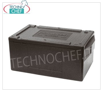Isothermal container in polypropylene HANDTOP GN 1/1, with handles, dim.mm.715x400x315h