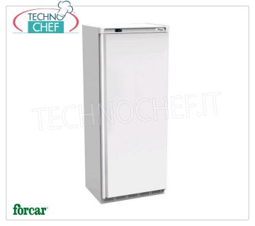 Forcar - Freezer-Freezer Cabinet, lt.641, Ventilated, Temp.-18°/-22°C, Class C, mod.G-EF700 Freezer-Freezer Cabinet 1 Door, Professional, lt.641, Temp.-18°/-22°C, Ventilated, ECOLOGICAL in Class C, GAS R290, V.230/1, Kw.0,55, Weight 113 Kg, dim.mm.777x730x1895h