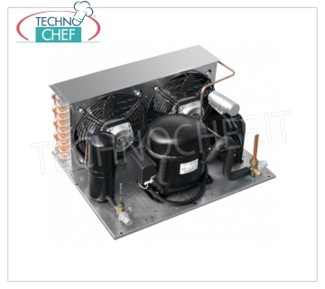 SINGLE-PHASE REMOTE REFRIGERANT UNITS Remote sealed refrigerant unit Single-phase V.230 / 1, Yield W 509, Refrigerant gas R404A / R507, positionable up to 15 meters (maximum distance including curves and ascents).